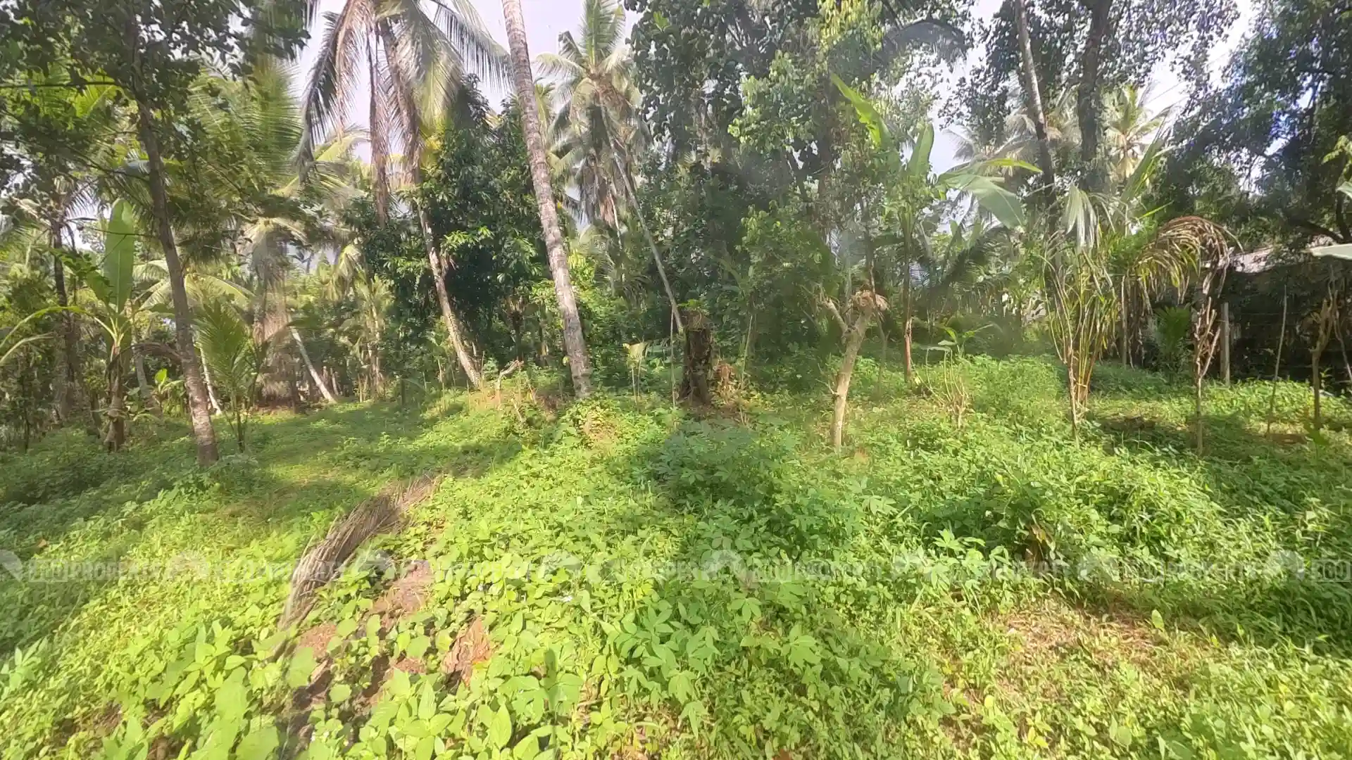 41 Perches Land for Sale