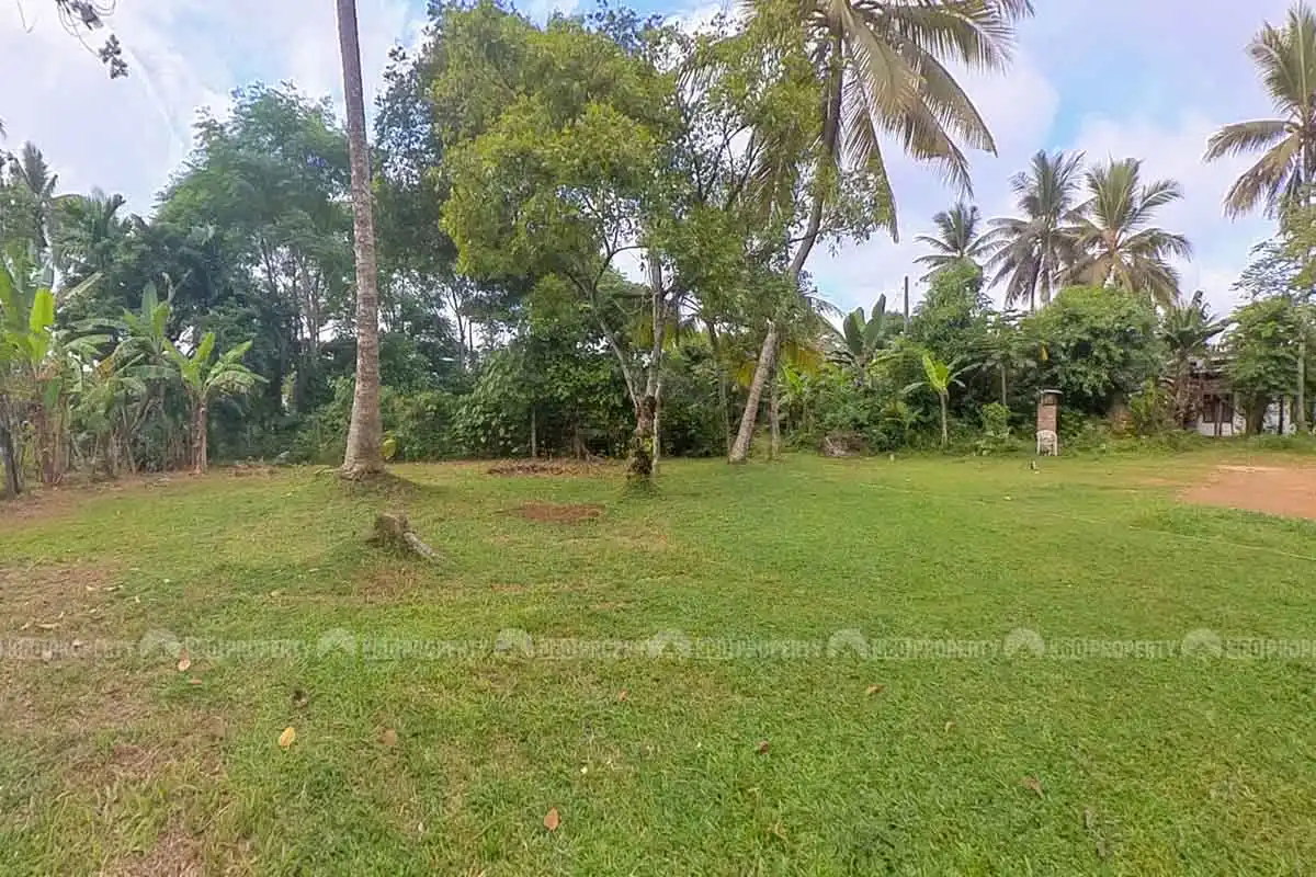 property.name