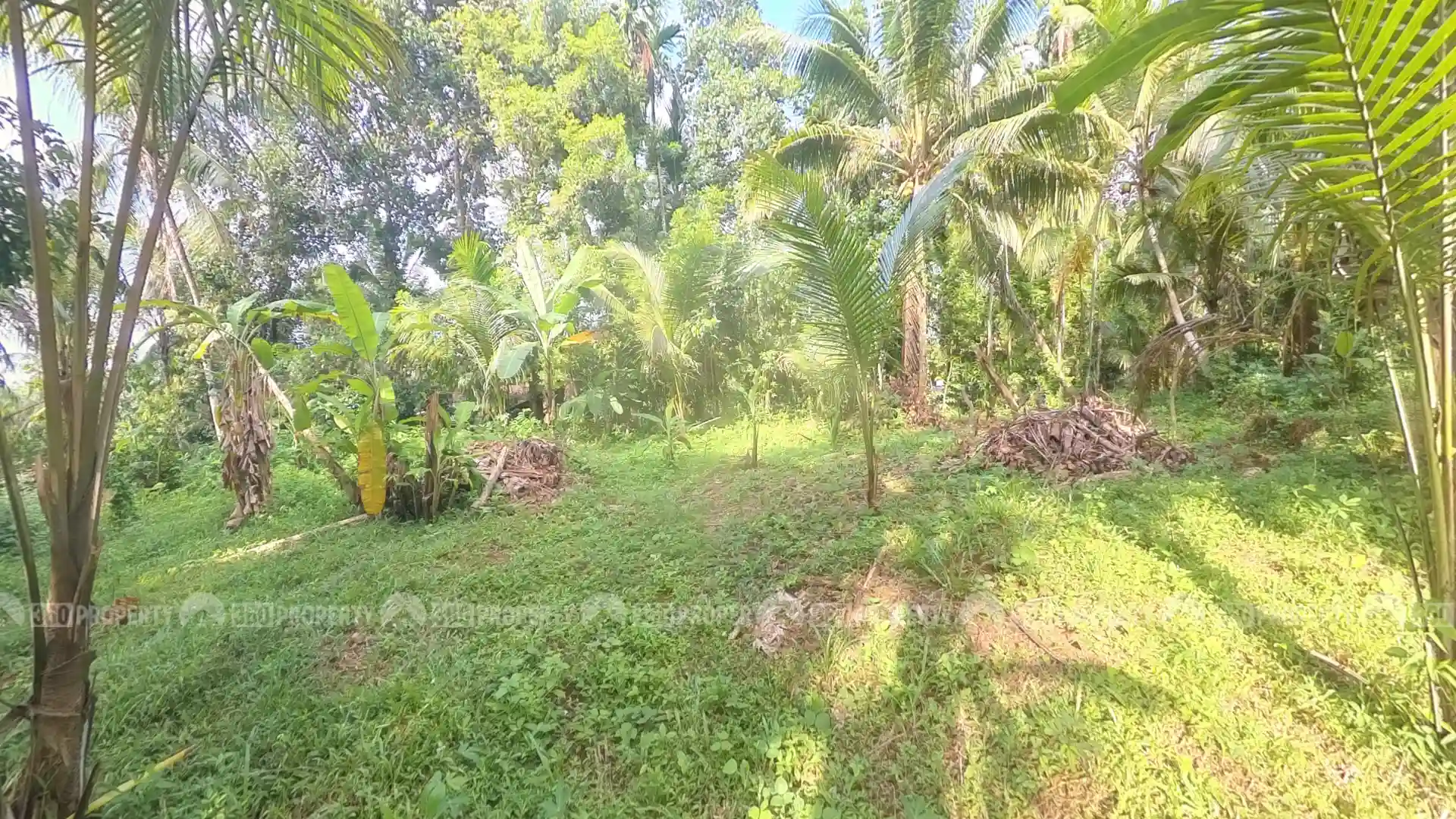 Image 08